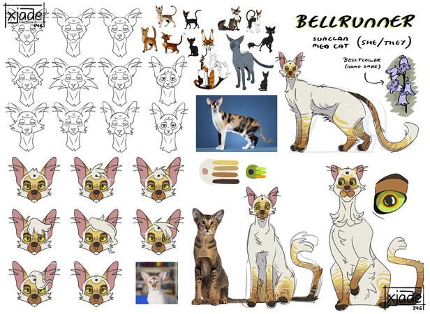 Original Character: Character Design